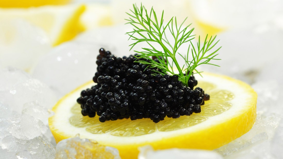 Abu Dhabi successfully produces caviare in the desert 